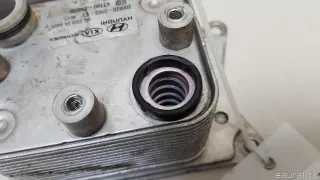 431902N050 Hyundai-Kia Радиатор масляный Hyundai Santa FE 4 (TM) restailing Арт E70660003, вид 3