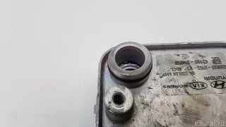 431902N050 Hyundai-Kia Радиатор масляный Hyundai Santa FE 4 (TM) restailing Арт E70660003, вид 4