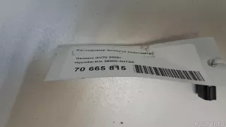 393003NTS0 Hyundai-Kia Расходомер воздуха (массметр) Genesis GV70 Арт E70665815, вид 5