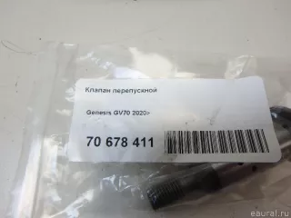 243553N100 Hyundai-Kia Клапан перепускной Genesis GV70 Арт E70678411, вид 5