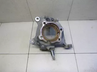 31216855954 BMW Кулак поворотный передний правый BMW X4 F26 Арт E30578366, вид 1