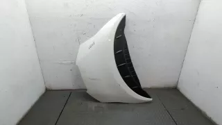 F51003NLMA Капот белый Nissan Leaf 1 Арт 9260346