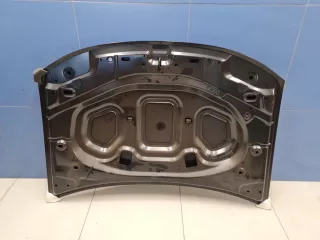 P70RN031A Капот Renault Duster 1 Арт Z336442, вид 2