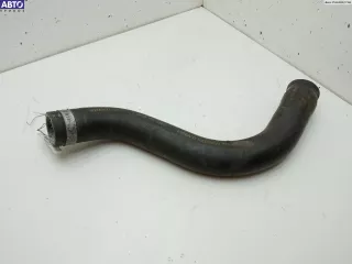 30864031 Патрубок радиатора Volvo S40 1 Арт 54693919, вид 2
