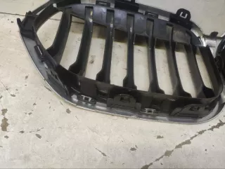 51138493451 Решетка радиатора BMW X1 F48 Арт VZ209448, вид 10