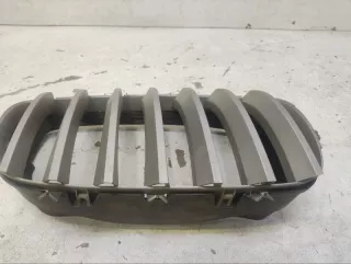 51317157688 Решетка радиатора BMW X5 E53 Арт VZ216318, вид 2