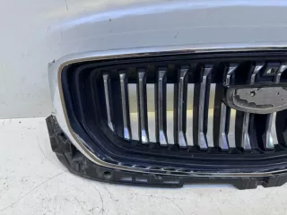 8889168079 Решетка радиатора Geely Monjaro Арт VZ221091, вид 4
