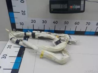 5N0880742L VAG Подушка безопасности боковая (шторка) Volkswagen Tiguan 1 Арт E52407430, вид 2