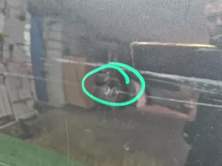 32133218 Дверь задняя левая Volvo XC90 2 Арт 0000007013522, вид 17