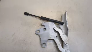 50535404 Петля капота правая Alfa Romeo Stelvio Арт 9293474, вид 1