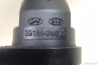 391802M612 Hyundai-Kia Датчик положения коленвала Kia K5 3 Арт E95694262, вид 5