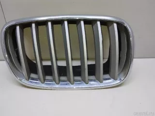 51137171396 BMW Решетка радиатора BMW X6 E71/E72 Арт E23497774, вид 1