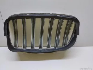 51137171396 BMW Решетка радиатора BMW X6 E71/E72 Арт E23497774, вид 5