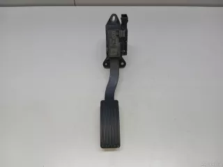 204000516AA Chery Педаль газа Chery Tiggo  2 Арт E23533179, вид 1