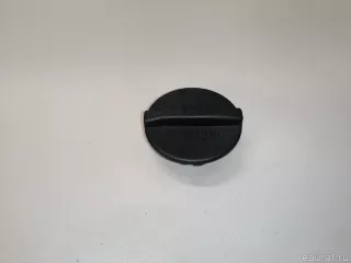 9065010015 Mercedes Benz Крышка расширительного бачка Mercedes Sprinter W907/910 Арт E23489652, вид 1
