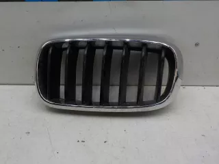 51137316053 Решетка радиатора BMW X5 F15 Арт BIT741615, вид 1