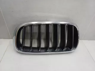 51137316053 Решетка радиатора левая BMW X5 F15 Арт Z337987, вид 1