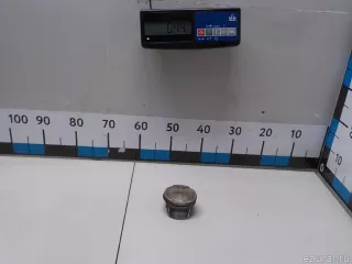 120101842R Renault Поршень Renault Duster 2 Арт E52434003, вид 1