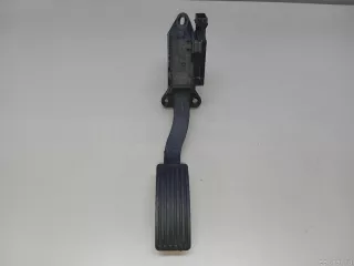 204000516AA Chery Педаль газа Chery Tiggo  2 Арт E23544668, вид 1