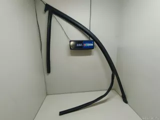 51337388838 BMW Уплотнитель стекла двери BMW X3 G01 Арт E23566649, вид 1