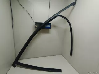 51337388838 BMW Уплотнитель стекла двери BMW X3 G01 Арт E23566649, вид 3
