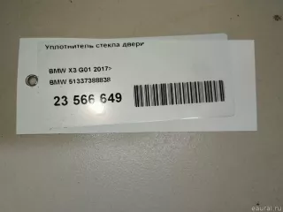 51337388838 BMW Уплотнитель стекла двери BMW X3 G01 Арт E23566649, вид 6