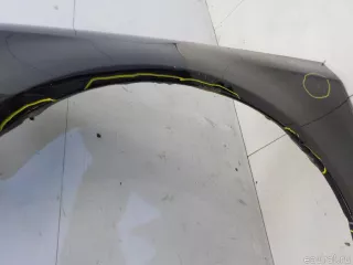 3C0821021 VAG Крыло переднее левое Volkswagen Passat B6 Арт E41120411, вид 4