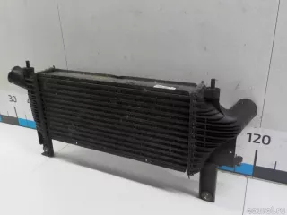 14461EB360 Nissan Интеркулер Nissan Navara D23 Арт E41129888, вид 2