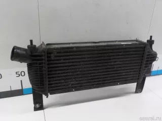 14461EB360 Nissan Интеркулер Nissan Navara D23 Арт E41129888, вид 4