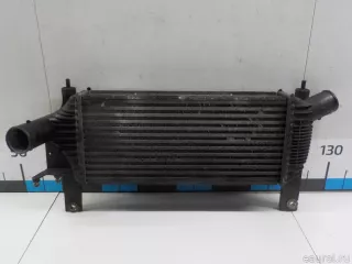 14461EB360 Nissan Интеркулер Nissan Navara D23 Арт E41129888, вид 6