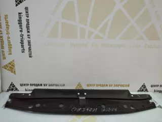 51767486827 Накладка замка капота BMW Z4 G29 Арт TP99328, вид 1