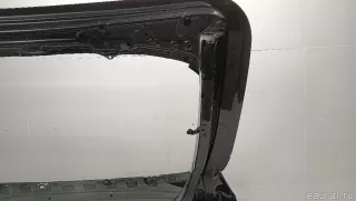 41007486250 BMW Дверь багажника BMW X4 G02 Арт E103045216, вид 16