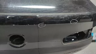 41007486250 BMW Дверь багажника BMW X4 G02 Арт E103045216, вид 10
