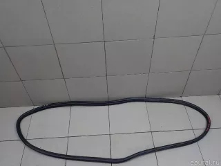 51727303967 BMW Уплотнитель двери BMW 3 F30/F31/GT F34 Арт E31151004, вид 1