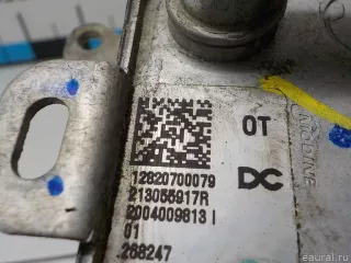 213055917R Renault Радиатор масляный Renault Duster 2 Арт E31392347, вид 4