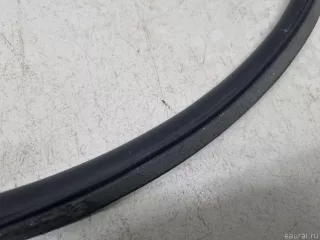 51769447076 BMW Уплотнитель двери BMW X5 G05  Арт E31461846, вид 5