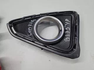 5203042050 Решётка в бампер правая Toyota Rav 4 4 Арт ZAP340317, вид 2