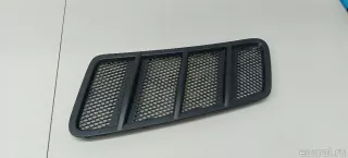 1668800105 Mercedes Benz Решетка в капот Mercedes S C217 Арт E103049906, вид 2