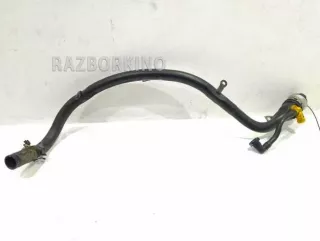 16117164254 Топливно-заливная горловина BMW X6 F86 Арт 2552217_3
