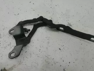 41617210678 Петля капота правая BMW 3 E90/E91/E92/E93 Арт 5846865_2, вид 1