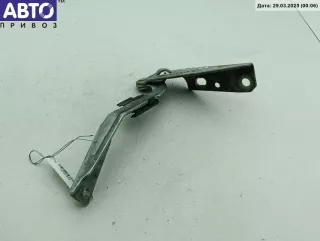 XS4115801AE Петля капота левая Ford Focus 1 Арт 54532498, вид 2
