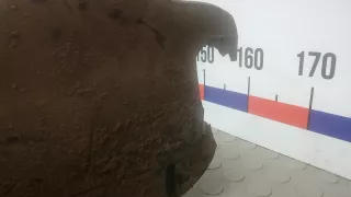 1T0810972F Защита арок (защита крыла, подкрылок) задняя правая Volkswagen Touran 2 Арт 4OK55SV01, вид 7