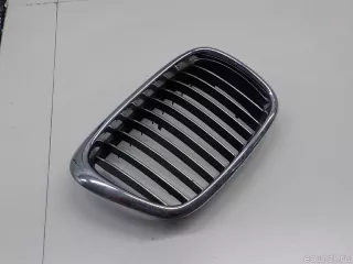 51137005838 BMW Решетка радиатора правая BMW 5 E39 Арт E52448074, вид 1