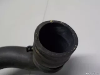 95810640250 VAG Шланг системы охлаждения Porsche Cayenne 958 Арт E52449815, вид 4