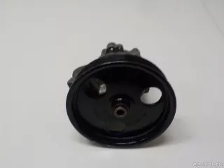 491105510R Renault Насос гидроусилителя Renault Duster 2 Арт E52456395, вид 1