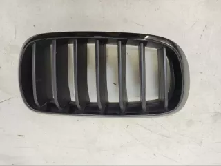 51137373690 Решетка радиатора BMW X6 E71/E72 Арт VZ194110, вид 1