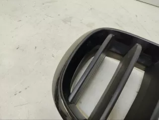 51137373690 Решетка радиатора BMW X6 E71/E72 Арт VZ194110, вид 4