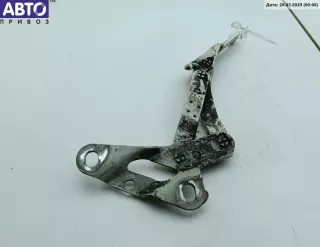7M0823302L Петля капота правая Volkswagen Sharan 1 restailing Арт 54760087, вид 1