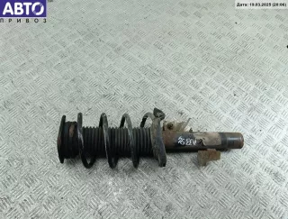  Стойка подвески передняя правая Ford Focus 2 Арт 54571860, вид 1