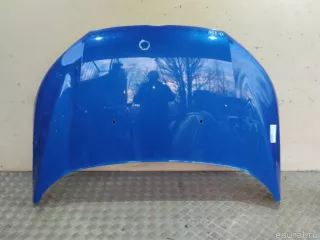 1896136 Ford Капот Ford EcoSport Арт E23613906